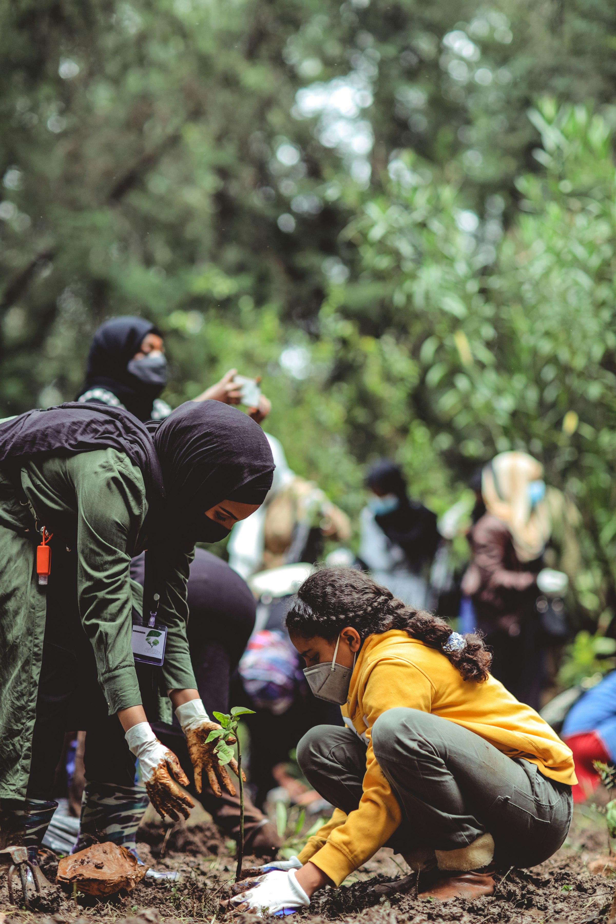 Two people kneeling in forest soil, planting a seedling together, others working behind them.